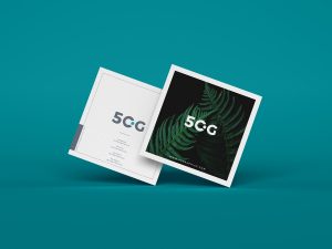 Free Square Business Card Mock-ups