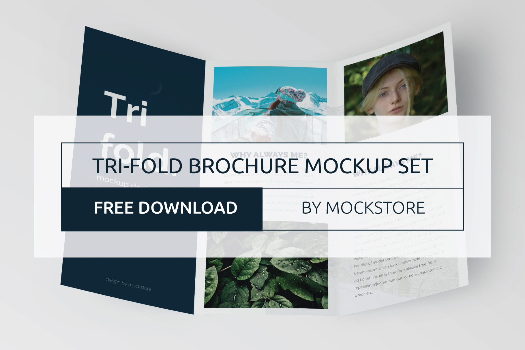 Free PSD Trifold Brochure Mockup Set