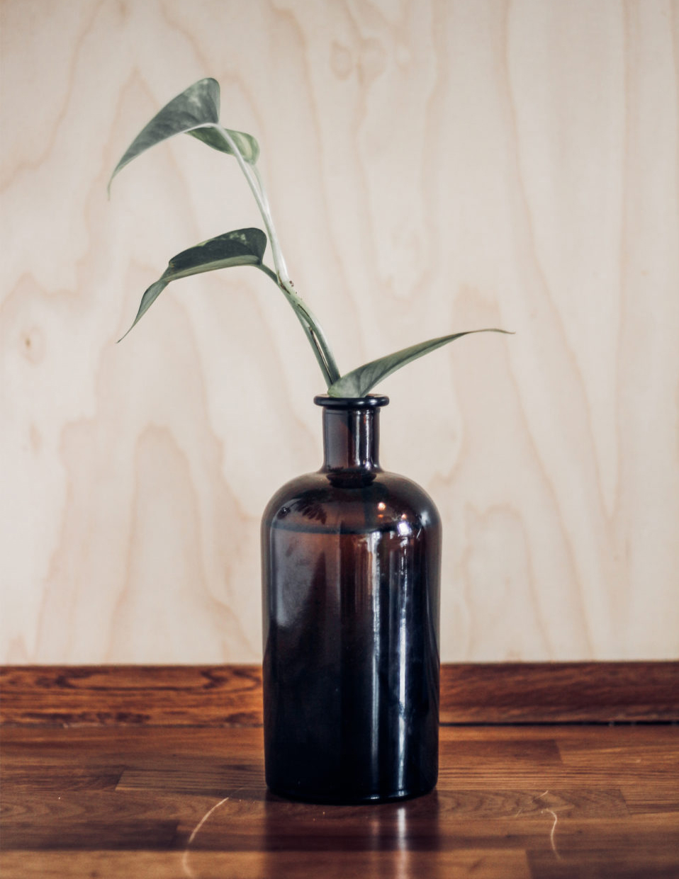 Modern Vase Bottle Free Mockup
