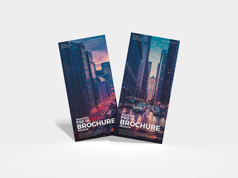 Free Branding DL Brochure Mockup