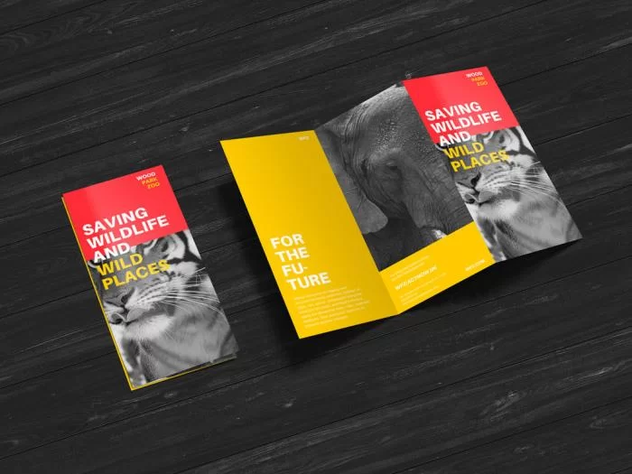 Creative Z-Fold Brochure Free PSD Mockup