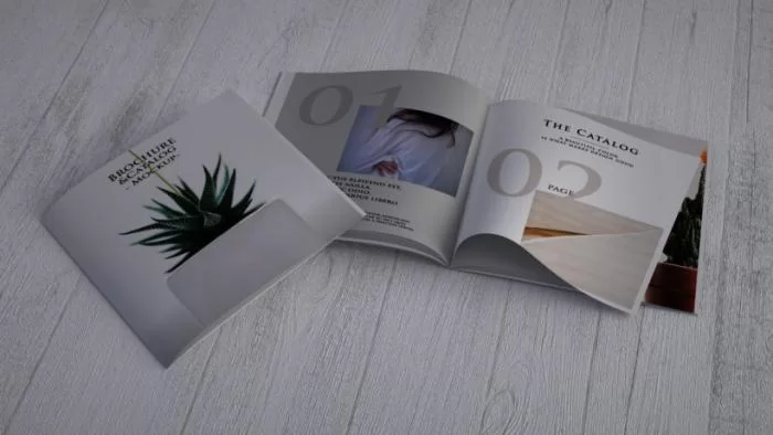 Modern Catalog / Brochure Free Mock-ups