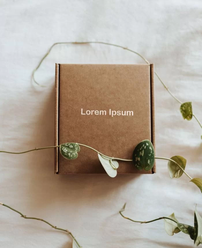Small Cardboard Box Free Mockup