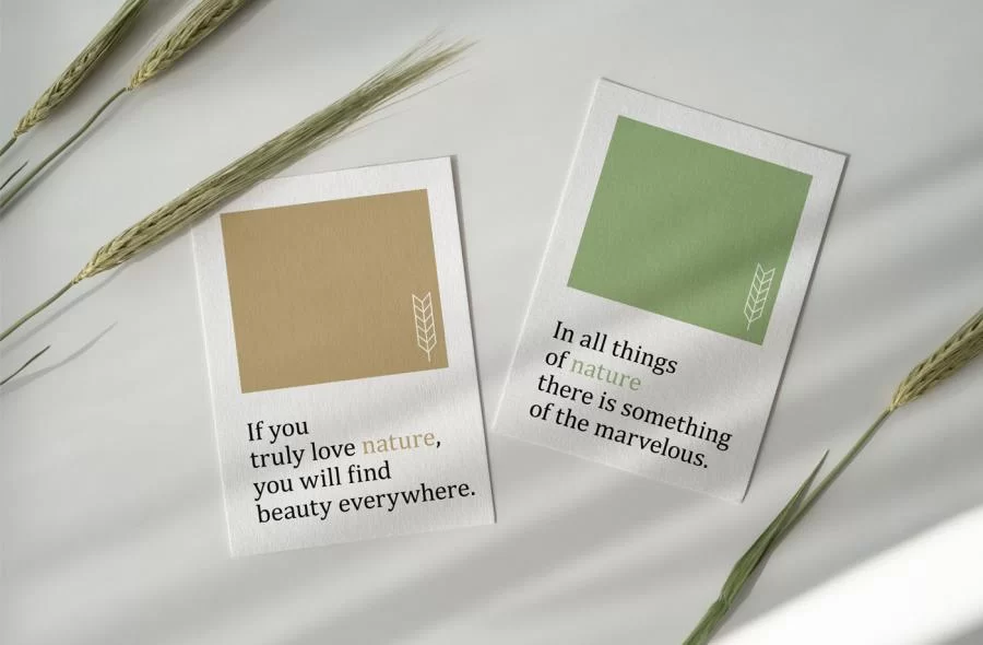 Cards Free PSD Mock-ups