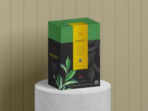 Brand Product Packaging Box Free Mockup