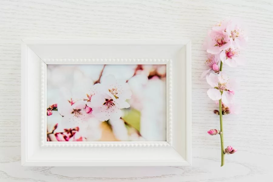Free (PSD) Flatlay Frame Mockup