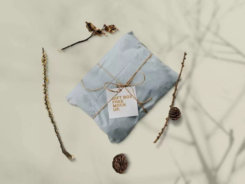 Gift Card in Pillow Free (PSD) Mockup