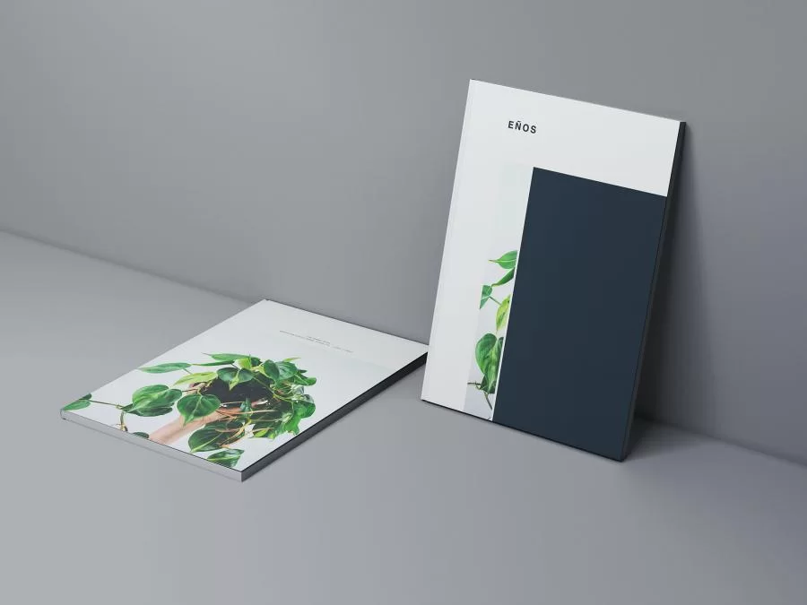 Free Two Magazine Covers Mockup (PSD)