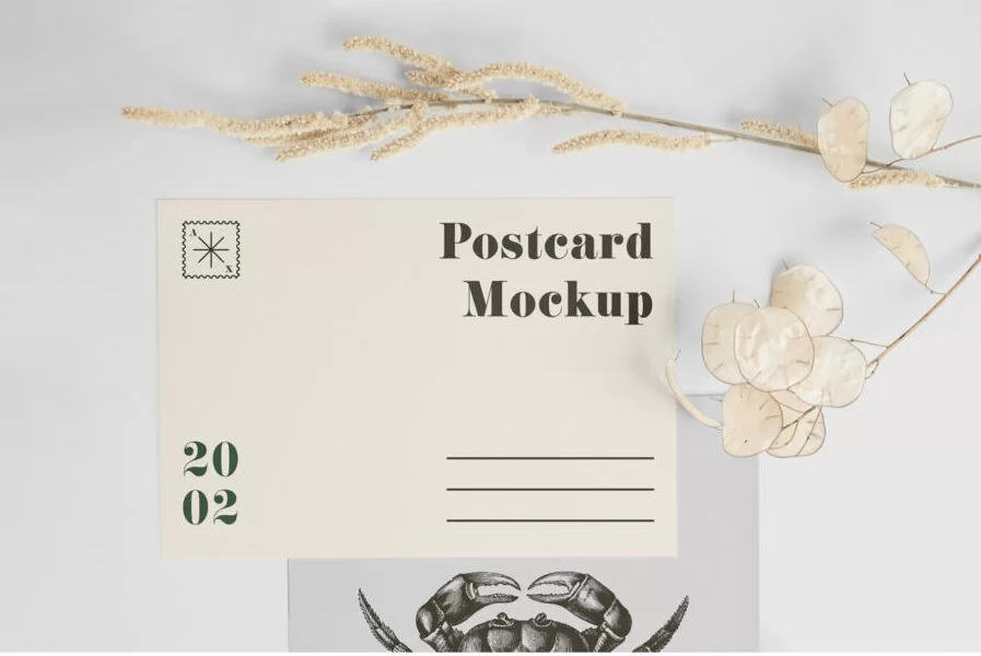 Free A5 Postcard with Envelope Mockup