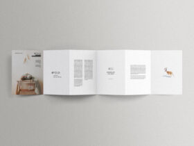 6 Fold Accordion Brochure Free Mockup