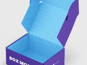 Free Pinch Lock Box Mockup