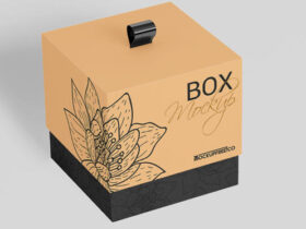 Two Cardboard Box Free Mockup